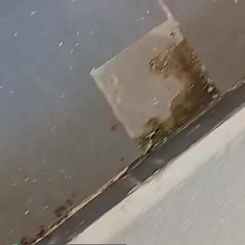 Mudo'dan Aldığım Ephesia Yemek Takımı Kutudan Kırık Çıktı