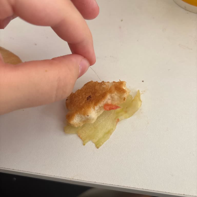 Burger Yeriz Burgerde Plastik İp Bulunması Sağlık Ve Hijyen Sorunu