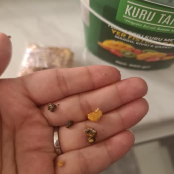Kuru Tanem Barında Sert Yabancı Cisim Diş Kırma Riski