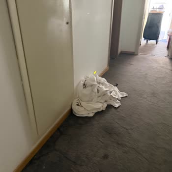 Ladonia Hotels Adakule'de Hijyen Ve Asansör Arızaları Nedeniyle İptal Ve İade Talebi