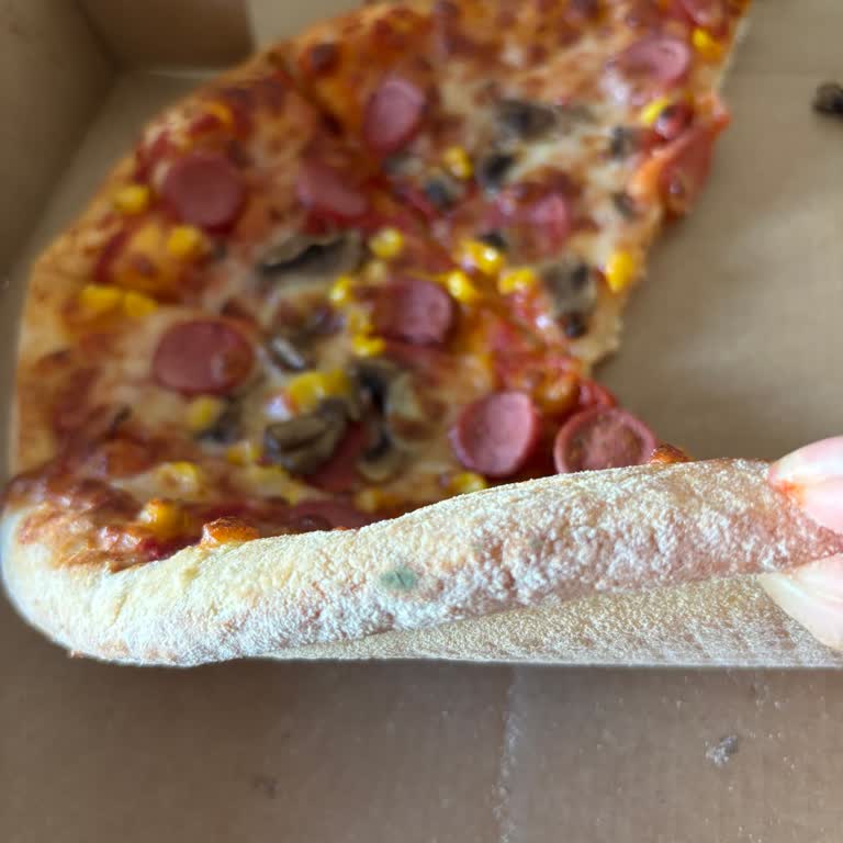 Küflü Pizza Ve Hijyen Sorunu Nedeniyle İade Ve Denetim Talebi