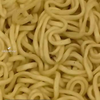 İndomie Noodle'dan Böcek Çıktı