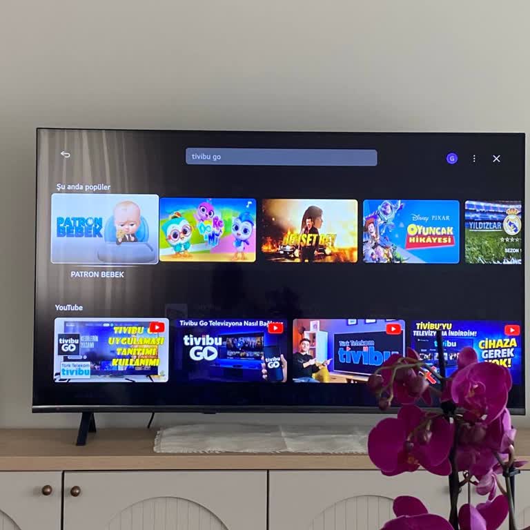 LG TV’de Tivibu Go Uygulaması Eksik, Müşteri Hizmetleri Çözüm Sunamıyor