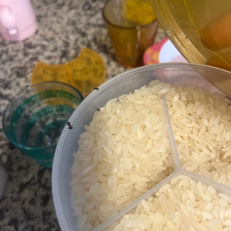 Hünkar Baldo Pirinçinde Canlı Kurt Ve Siyah Böcekler Bulunması Gıda Hijyenini Tehdit Ediyor