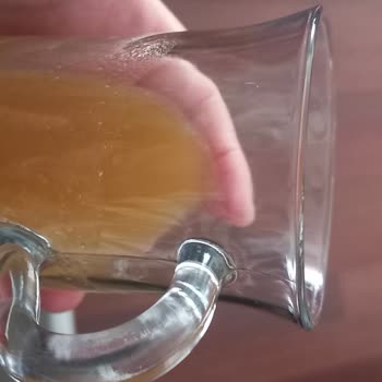 Bozulmuş Meyve Suyu Ve Garnitür Ürünleri İçin Sağlık Riski Ve Ücret İadesi Talebi