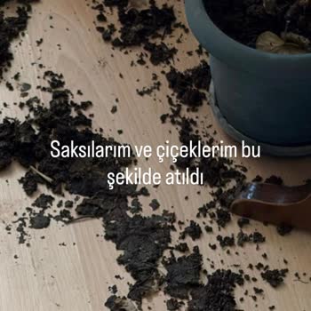 Ödenen Asansör Ücreti Verilmeyen Hizmet Ve TV Zedelenmesi