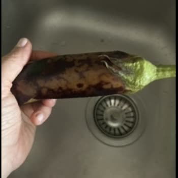 Getir Siparişimi Eksik ve Özensiz Gönderdi