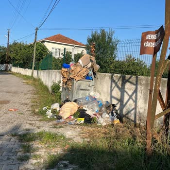 Sakarlı Mahallesi Çöp Konteynerleri Dolu, Çöp Toplama Hizmeti Acilen Düzenlenmeli