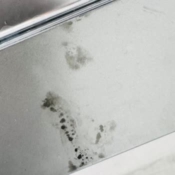 Samsung Bulaşık Makinesinde 2 Yıllık Kullanım Sonrası Kapağın Paslanması ve Ücretsiz Değişim İsteği