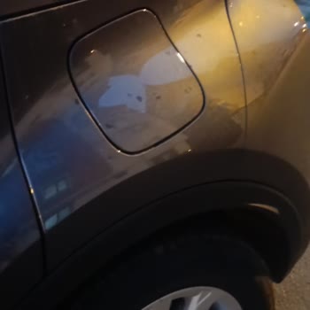 Toyota Boya Sorunu 3 Yıllık Garantiyle Reddedildi