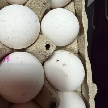 Küflü Yumurta Gönderildi, Sağlık Riski Ve İade Talebi