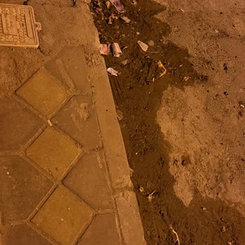 Burgaz Mahallesi’nde Kirli Su, Çöp Ve Çöp Kutusu Eksikliği İçin Acil Müdahale Talebi
