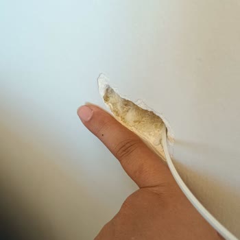 Mutfak Duvarı Hasarı Ve Çalışmayan İnternet İçin Sorumluluk Reddi