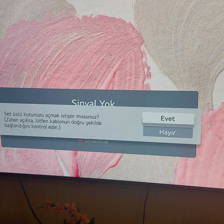 Digiturk 2,5 Hafta Sinyal Yok Sorunu Ve Teknik Servisin Gelmemesi