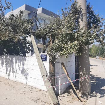 Kırık Direk Ve Kesilen Kablo Nedeniyle İnternet Kesintisi Ve Gecikmiş Onarım