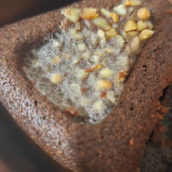 Eti Brownie Selection’da Beyaz Küf Sağlık Endişesi Yaratıyor
