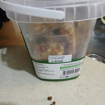 Kuru Tanem Barında Sert Taş Tespit Edildi, Diş Ağrısına Neden Oldu
