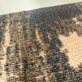 Asteria Collection Side Otelinde Kabul Edilemez Hijyen Sorunları Ve ETS Tur'un Çözüm Sağlamaması