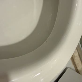Asteria Collection Side Otelinde Kabul Edilemez Hijyen Sorunları Ve ETS Tur'un Çözüm Sağlamaması