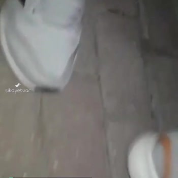 Adidas Ayakkabı Kuş Gibi Ötüyor!