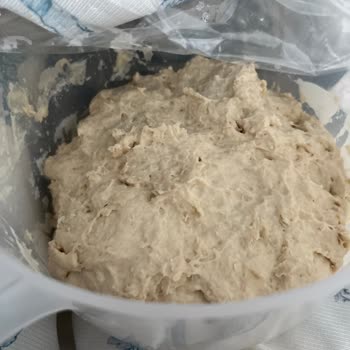 Tarihi Geçmemiş Un’da Yoğun Maya Kokusu Ve Sararma Sorunu