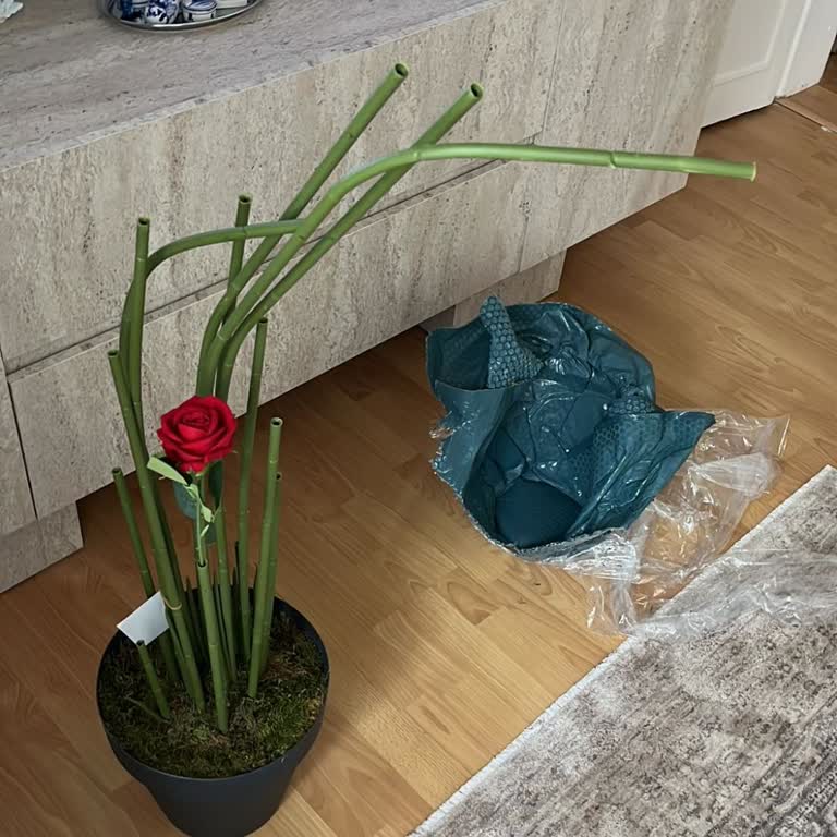 Kusurlu Yapay Ağaç Gönderildi, Trendyol Ve Satıcı Sorumluluğu Reddetti