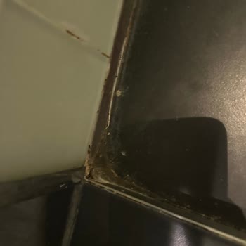 Fiyat Ve Kahvaltı Çelişkisi, Kaba Personel Ve Kirli Oda