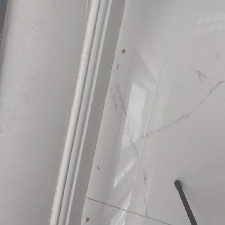 Karınca Jeli Etkisiz Ve Boşa Harcanan Para