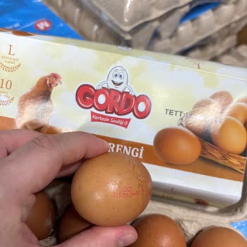 Gordo Yumurtalarında Yanıltıcı Etiketleme: 0 Kodlu Ambalaj, 3 Kodlu İçerik