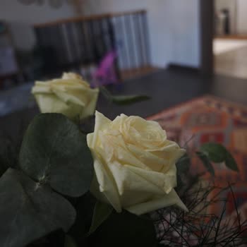 Solmuş Gül Buketi İçin Yanıtsız İade Talebi