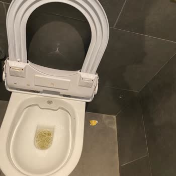 Shell Tuvaleti Kötü Durumda Havasız Ve Eksik
