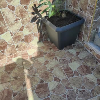 Bauhaus Kare Ve Orkide Saksılarının Tabaksız Gelmesi Etik Olmayan Satış