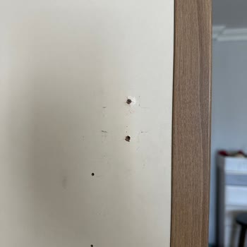 Taşınma Sırasında Mobilya Hasarı Ve Alaycı Üslup İçin 34 Bin TL Ödedim, Çözüm Yok