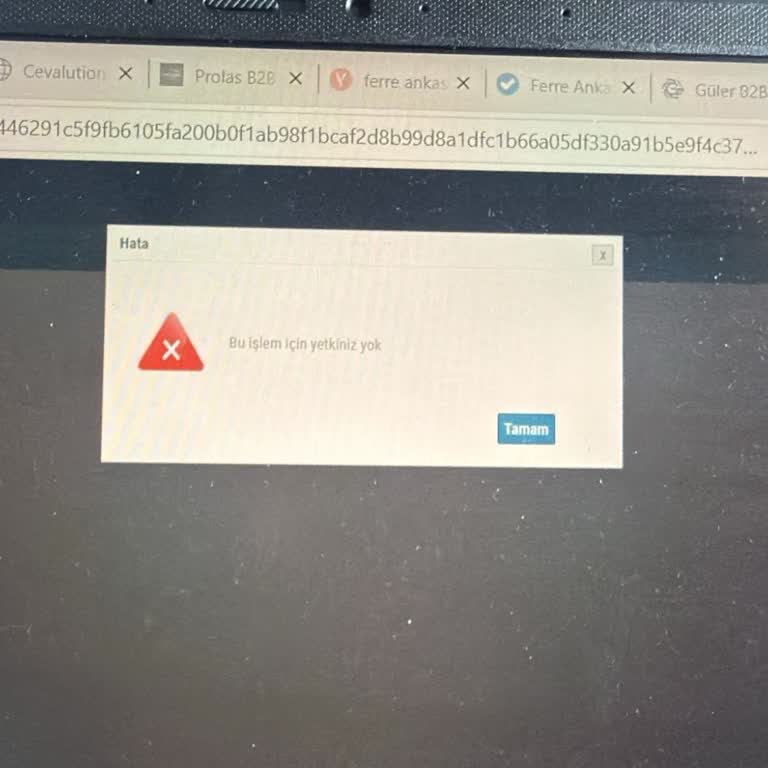 E-Arşiv Fatura Erişimi Yetki Sorunu Ve Telefon Cevapsızlığı