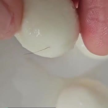 Ekici Peynirden Kıl Çıktı
