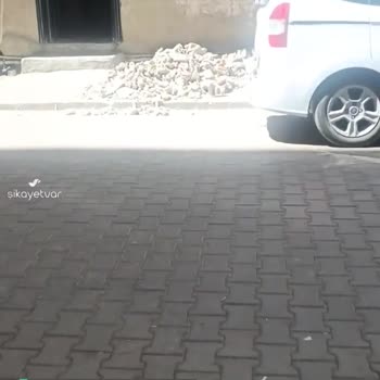Yemen Kurukahve Molozları