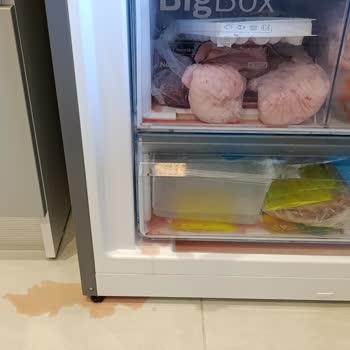 Garanti Kapsamındaki Bosch Buzdolabında Tekrarlayan Arızalar Ve Reddedilen Değişim Talebi