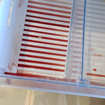 Garanti Kapsamındaki Bosch Buzdolabında Tekrarlayan Arızalar Ve Reddedilen Değişim Talebi