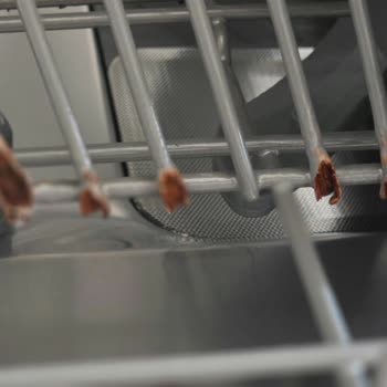 Paslanan Bulaşık Makinesi Sepetleri İçin Garanti Dışı Red Ve Ücretsiz Değişim Talebi