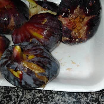 Kurtlanmış Incir Satın Alındı, İade Talebi Reddi