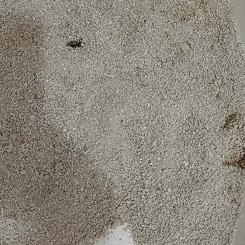 Petpal Wondersand Marka Kedi Kumu Şikayeti
