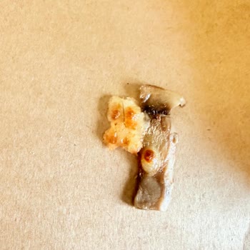 Kırıkhan Domino’s Şubesinde Soğuk Ve Kıllı Pizza, Uzun Teslim Süresi