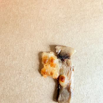 Kırıkhan Domino’s Şubesinde Soğuk Ve Kıllı Pizza, Uzun Teslim Süresi