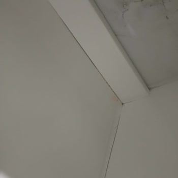 Su Sızıntısı Sonrası Şişen Banyo Dolabının Garantili Değişim Sözünün Tutulmaması