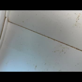 Kedi Tuvaleti Tasarım Hatası Ve İade Reddi