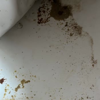 Kedi Tuvaleti Tasarım Hatası Ve İade Reddi