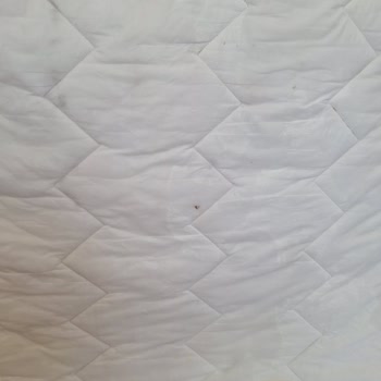 Yataş Uyku Pedi İçindeki Kirli Malzeme Ve Ücretsiz Değişim İsteği