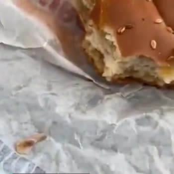 Yemeksepeti Tavuk Burgerin İçinden Sert Cisim Çıktı!