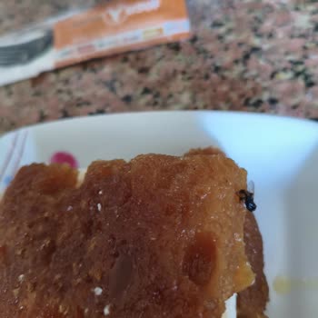 Köfteci Yusuf Denge Tower Şubesinde Kadayıfta Sinek Görüldü