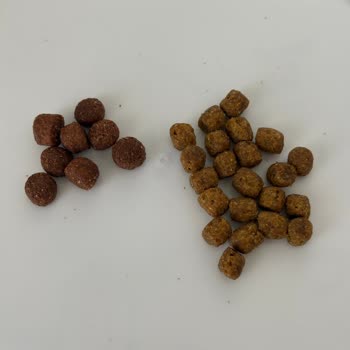 Orijinal Olmayan Kedi Maması Ve İade Talebi